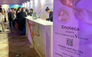 DOC delle Venezie Vinitaly and the city