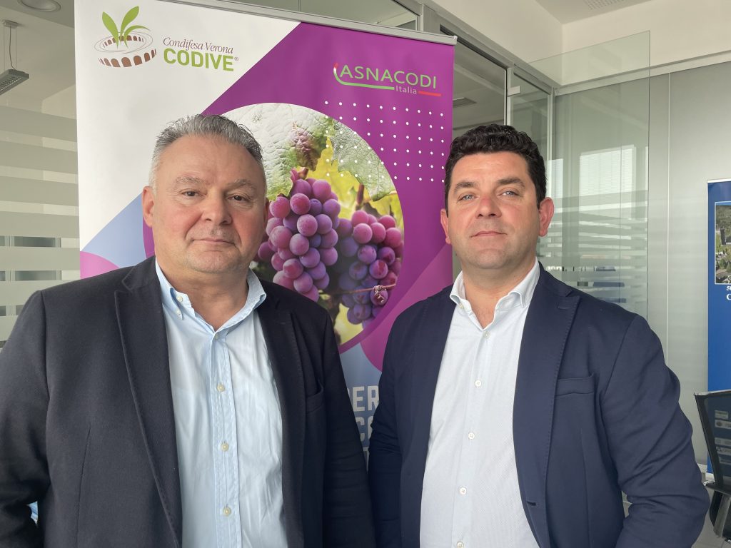 Marani Ronca Codive Verona agricoltura
