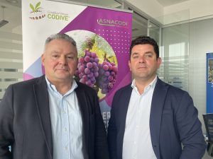 Marani Ronca Codive Verona agricoltura