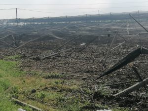 Danni da avversità atmosferiche in Veneto (maggio 2024) maltempo