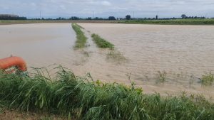 Mais maltempo emergenza