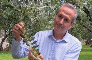 Giancarlo Bonamini frantoio