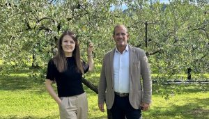 Consorzio olio garda dop