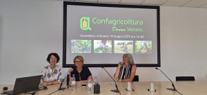 Chiara Dossi (al centro) tra Valentina Lorenzin e Catia Bolzonella