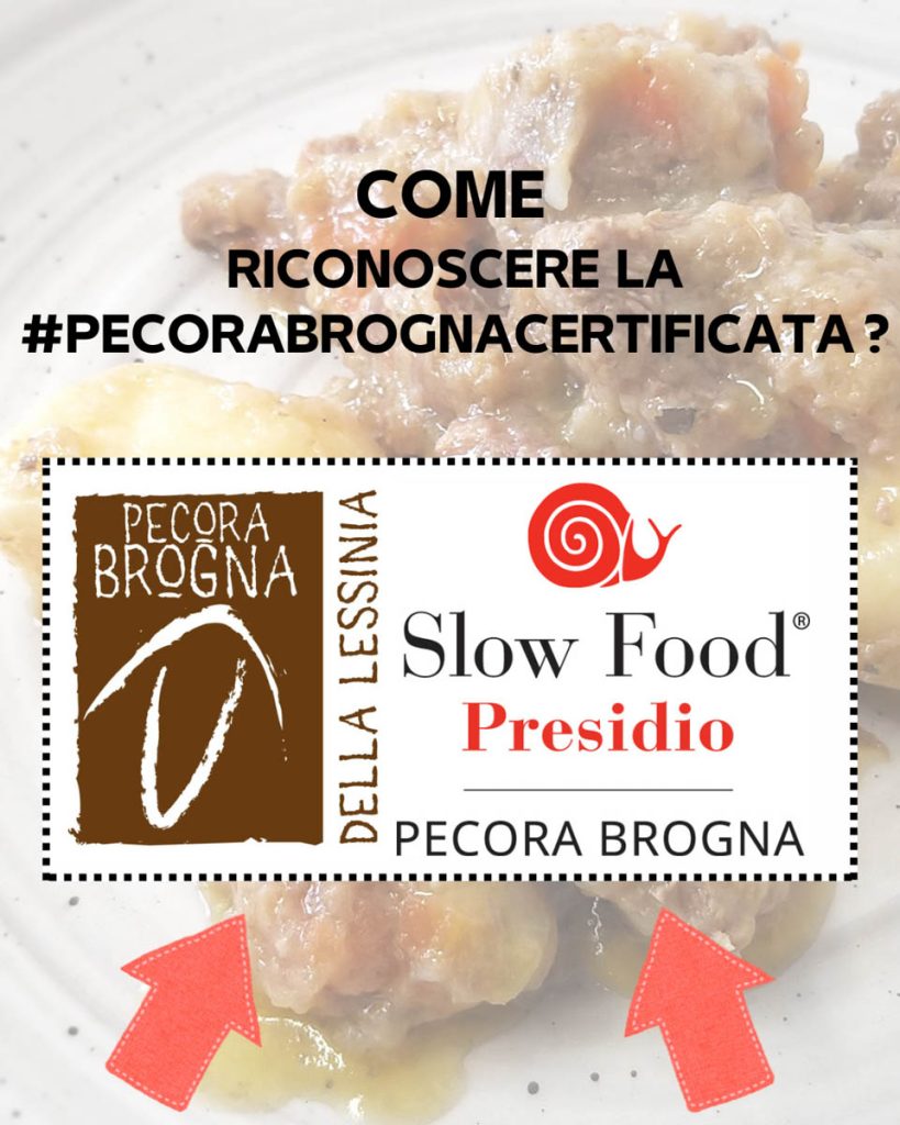 Pecora Brogna della Lessinia certificata Slow Food