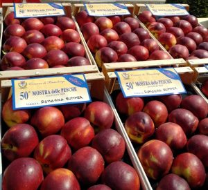 mostra pesche