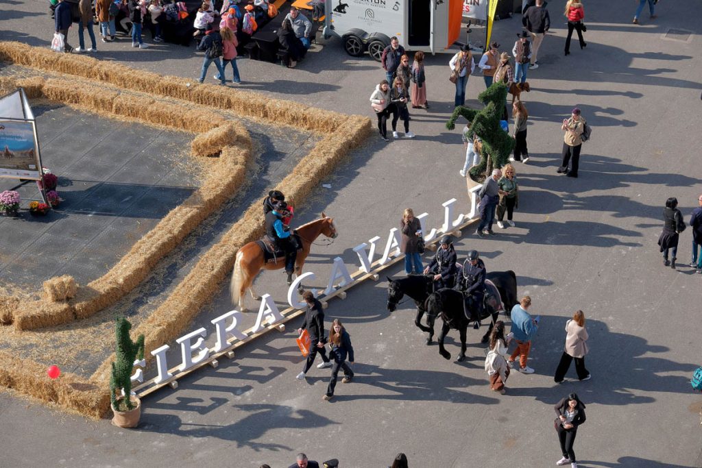 Fieracavalli 2025 - Veronafiere