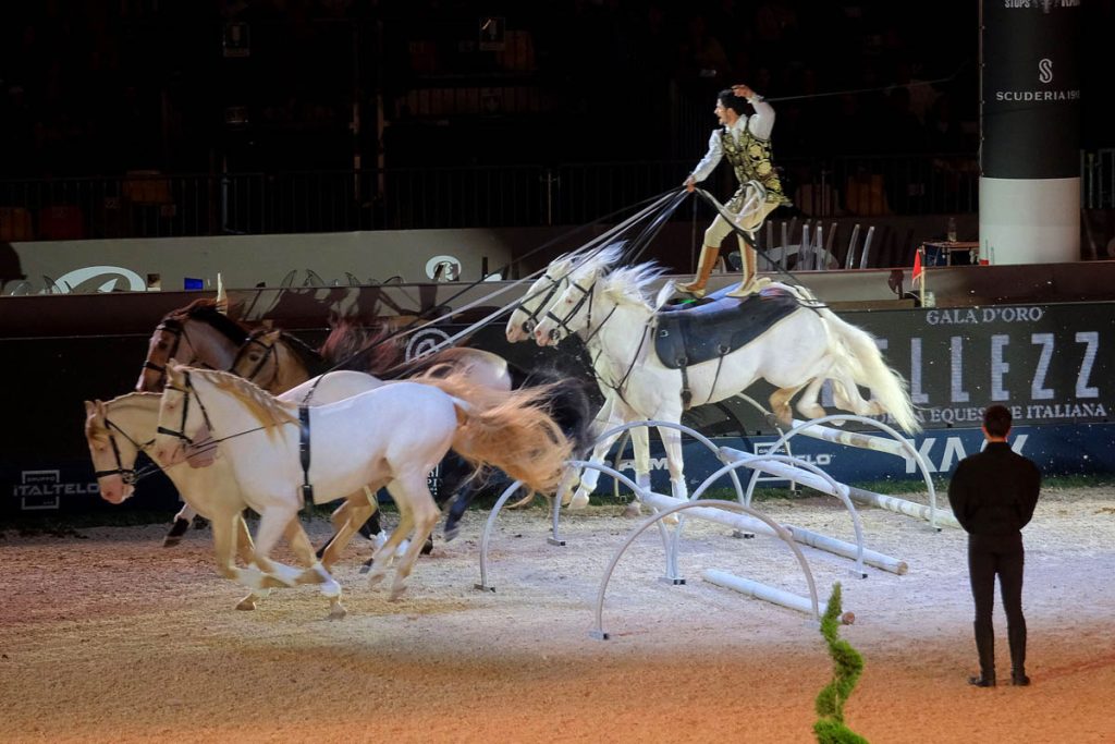 Fieracavalli 2025 - Veronafiere