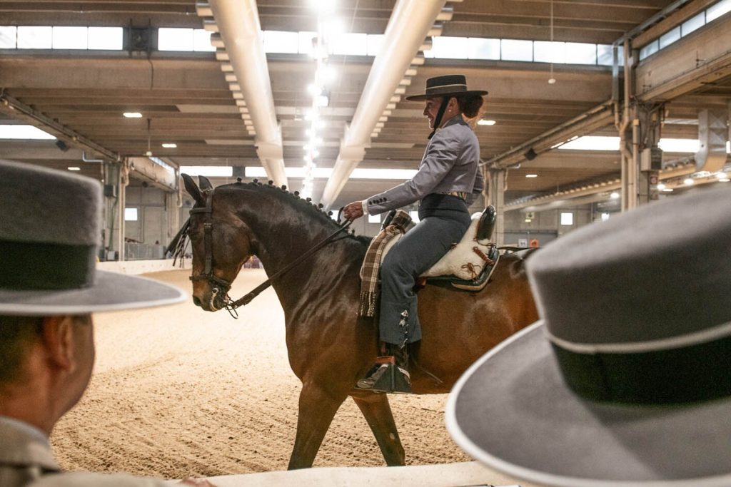 Fieracavalli 2025 - Veronafiere